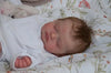 Reborn Baby Dolls Original